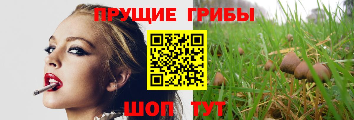 Биробиджан  Галлюциногенные грибы прущие грибы  Вход с VPN 